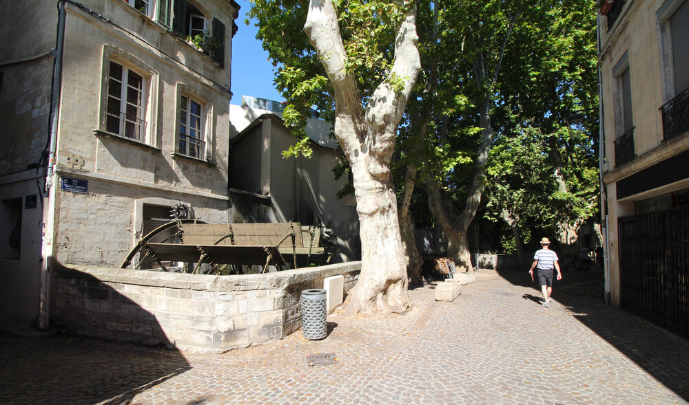 Rue des Teinturiers Avignon