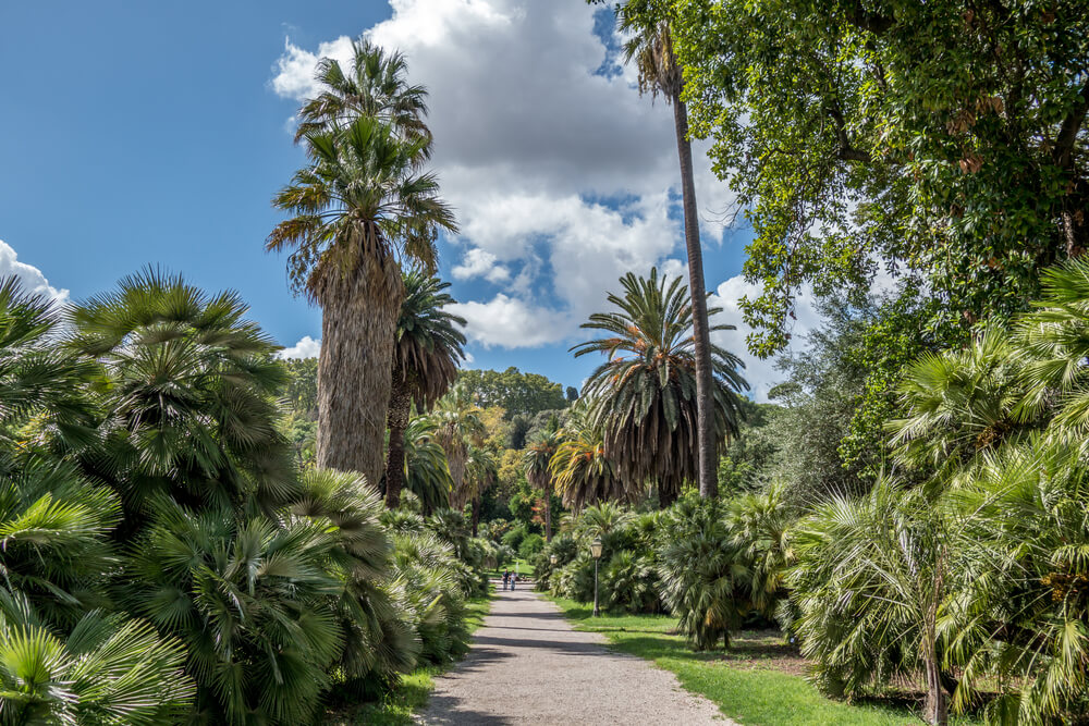 Jardin Botanique Rome