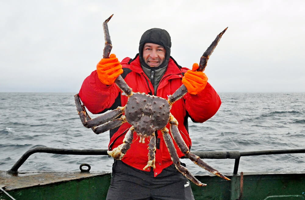 crabe royal norvege
