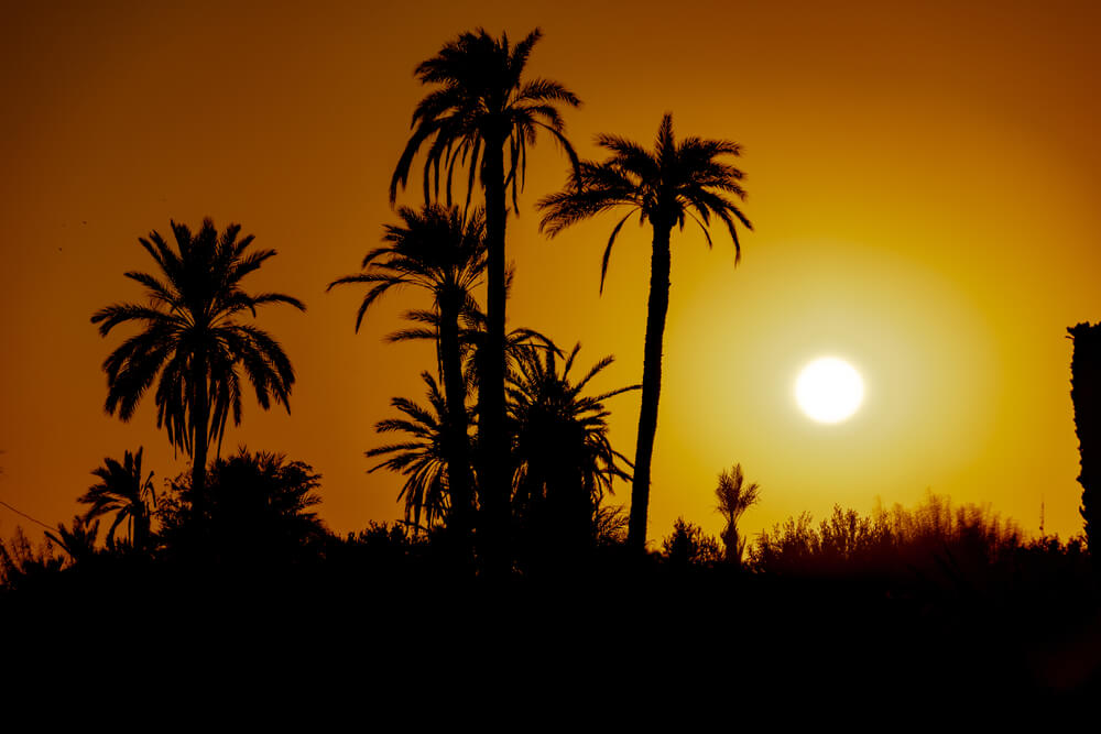 coucher de soleil palmeraie marrakech