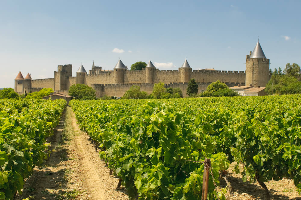 specialites carcassonne vin de cite carcassonne