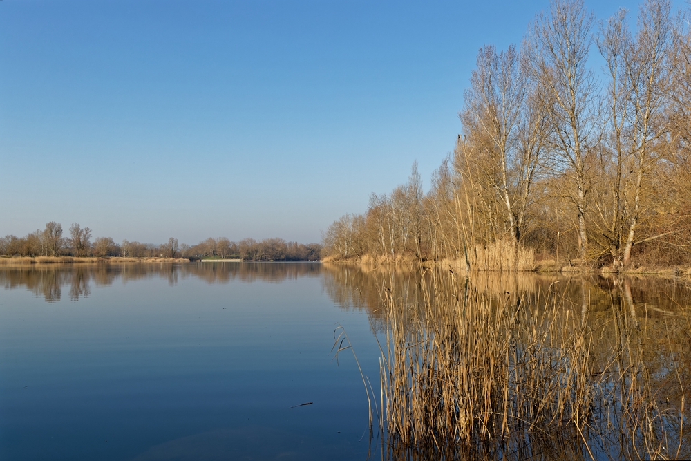 Grand,Parc,De,Miribel jonage,,An,Urban,Park,Of,2200,Hectares