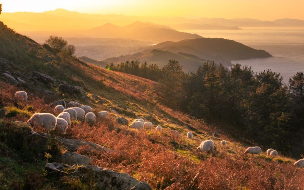 Que faire et visiter au Pays Basque en automne Navaway