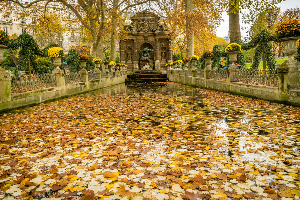 jardin du luxembourg automne