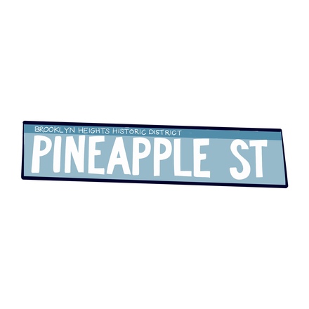 06 pineapple street new york poi petit