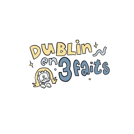 15 dublin en 3 faits poi petit