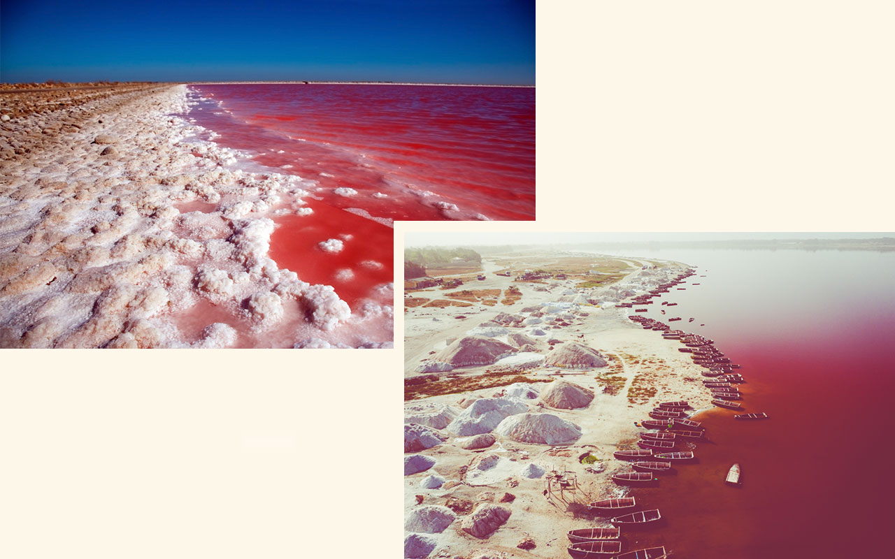 src= camargue-lac retba senegal