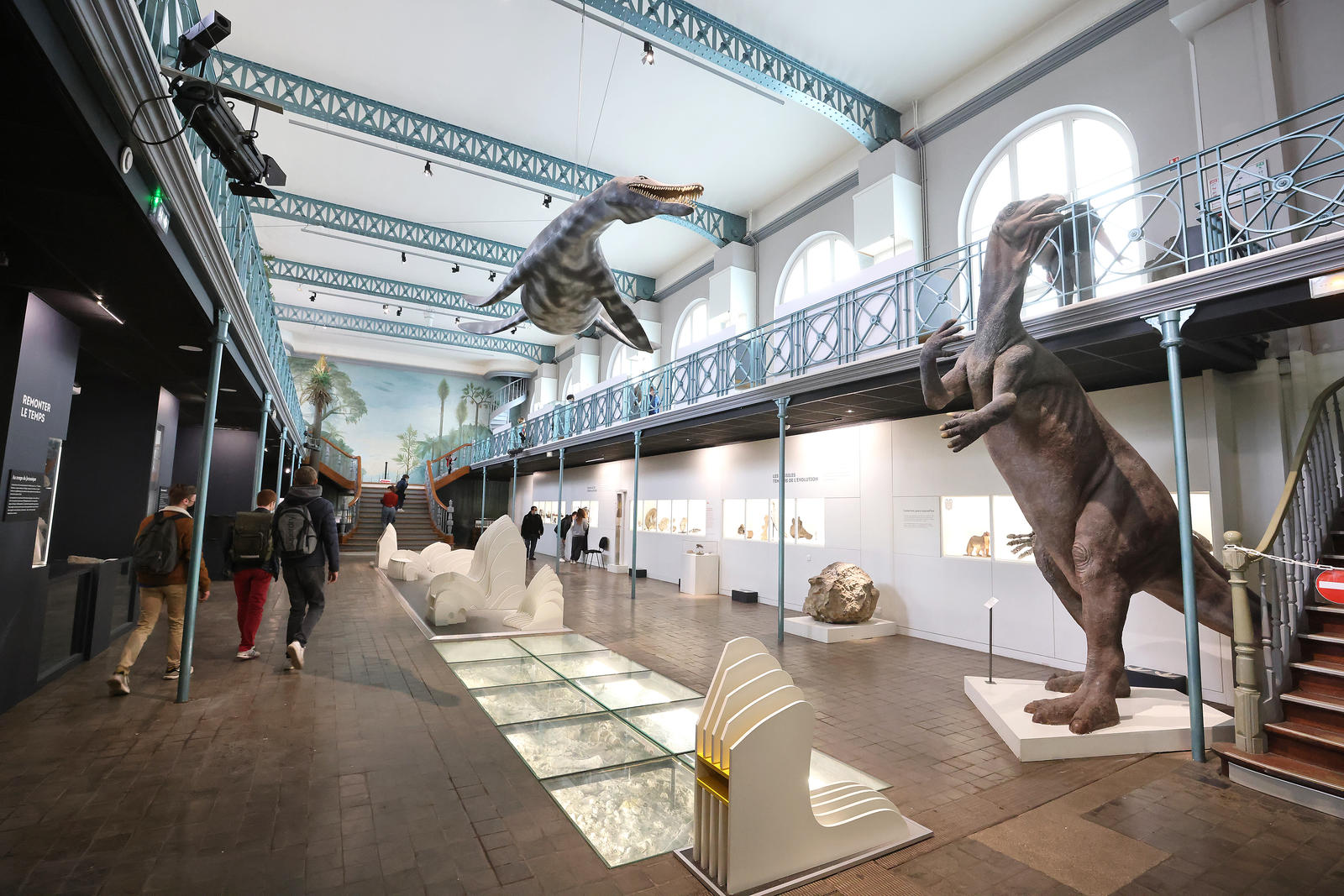 Exposition au musée d'histoires naturelles à Lille