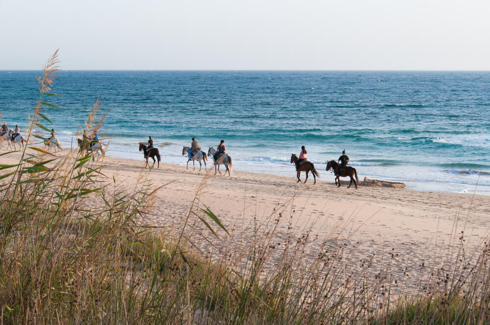 activites lisbonne balade cheval promenade cheval plage