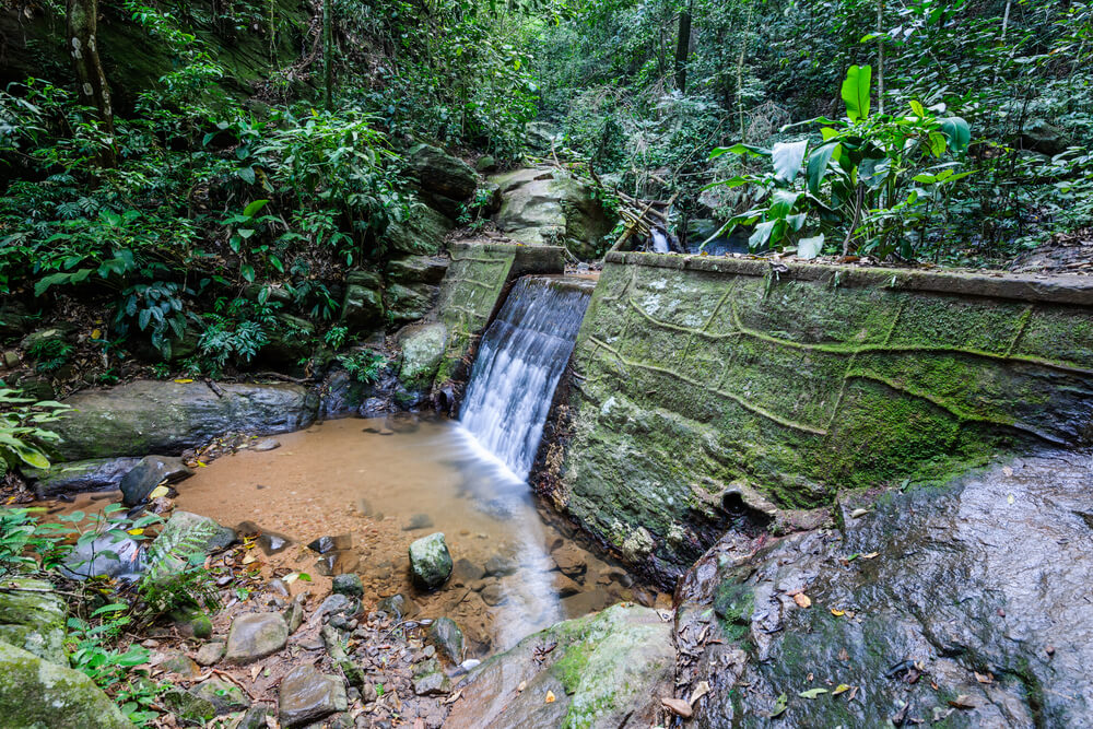 activites rio janerio randonnee foret tijuca