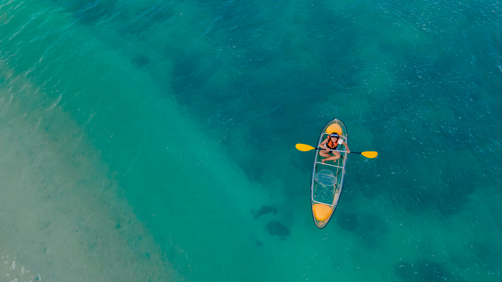 activites sydney kayak transparent