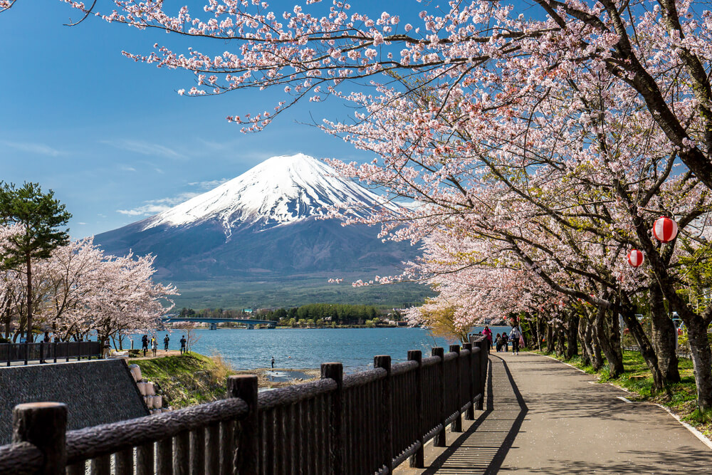 activites tokyo excursion mont fuji