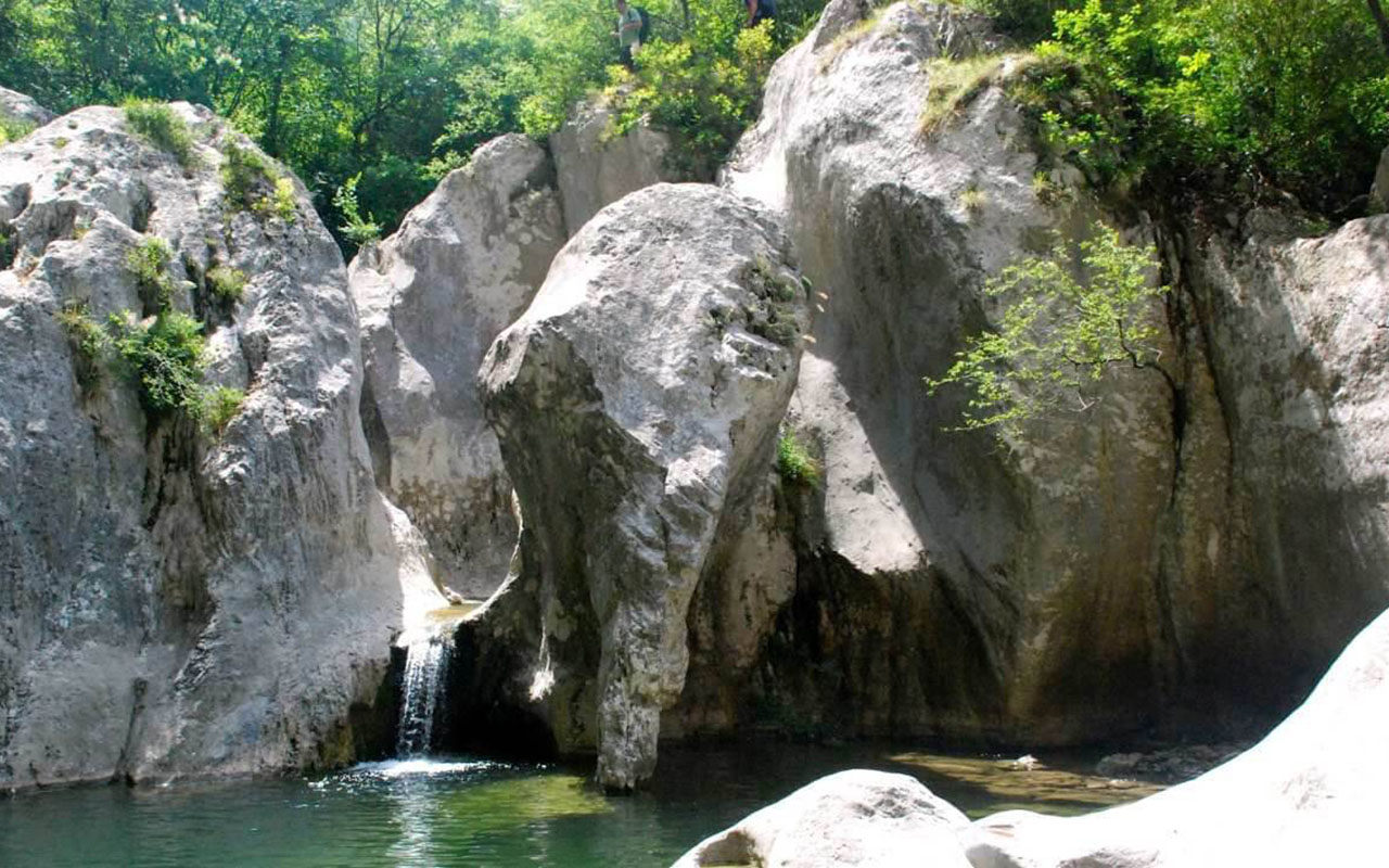 baignade eau douce cote azur laune elephant