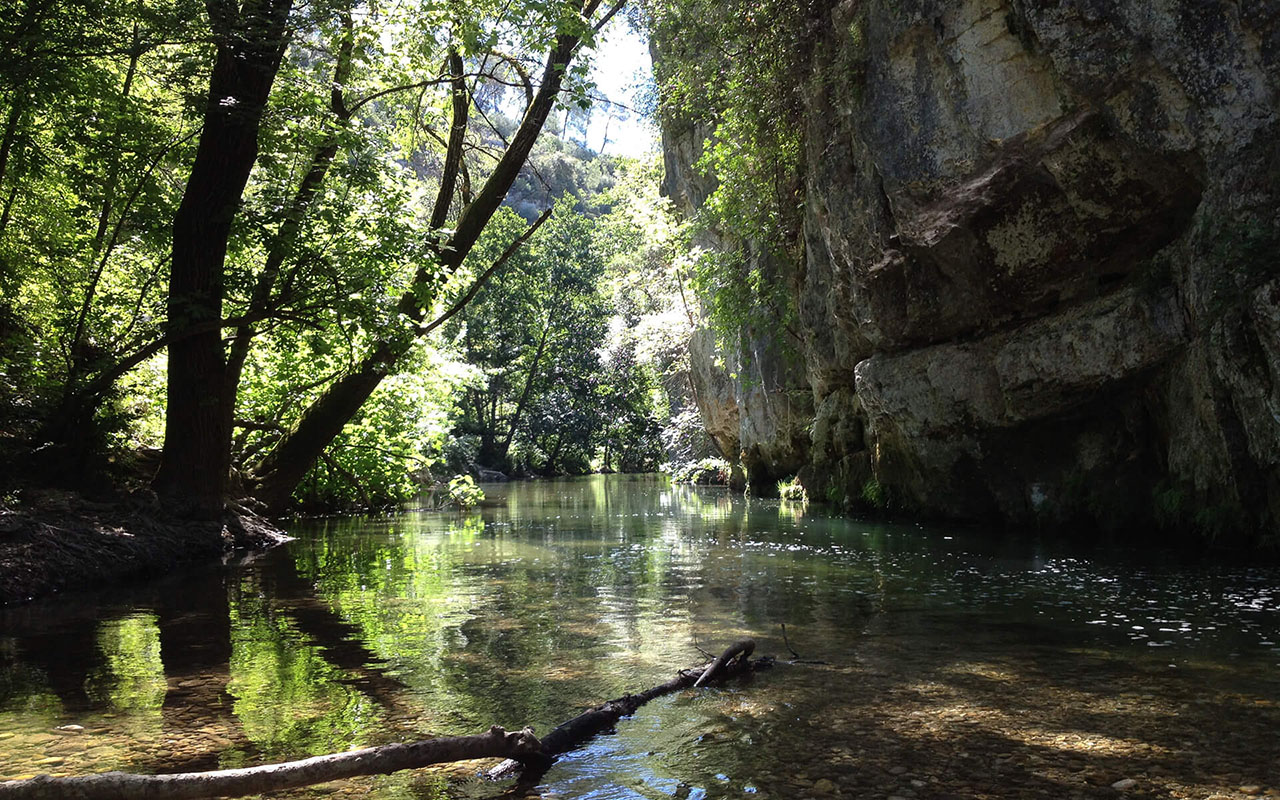 baignade eau douce cote azur parc rives loup