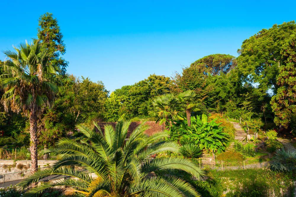 bayonne jardin botanique