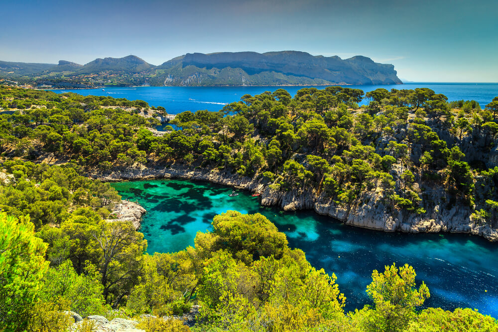 calanque port pin marseille