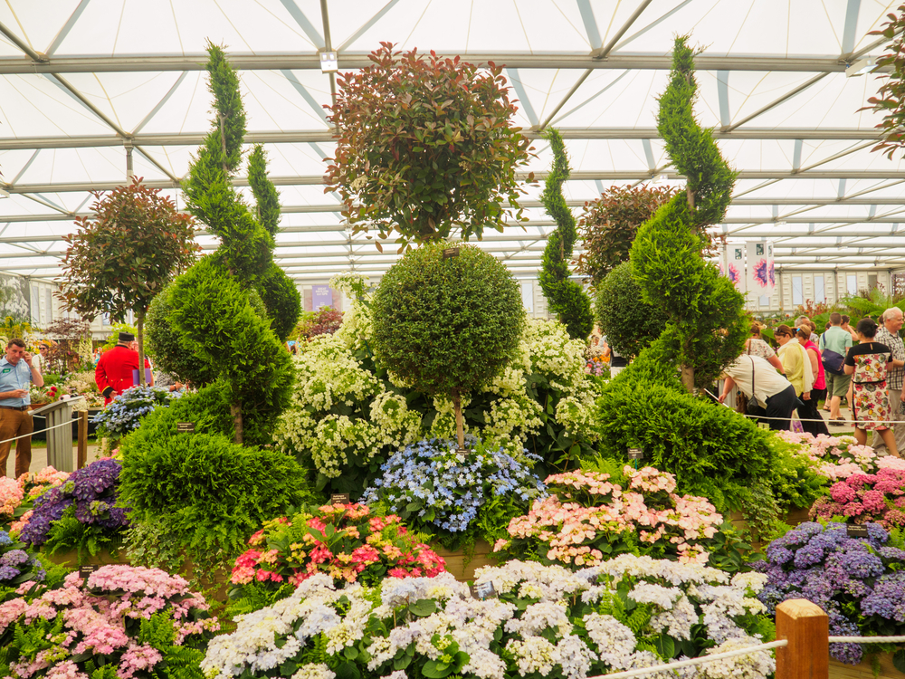 chelsea flower show londres