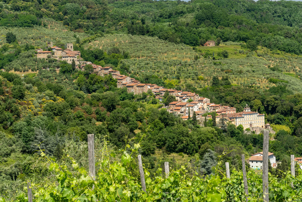 collodi village vue aerienne