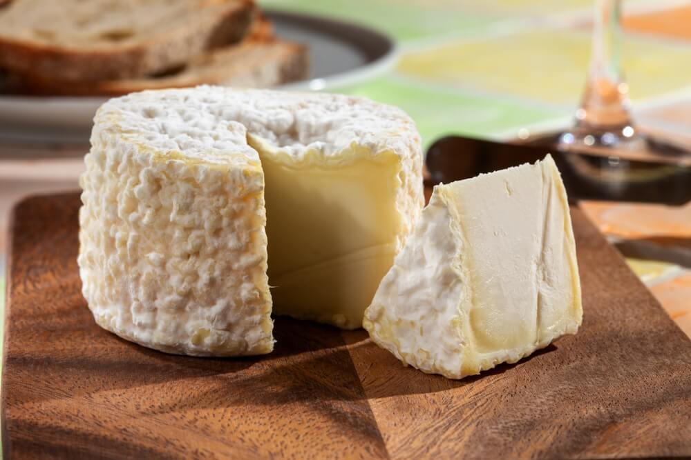 crottins chevre