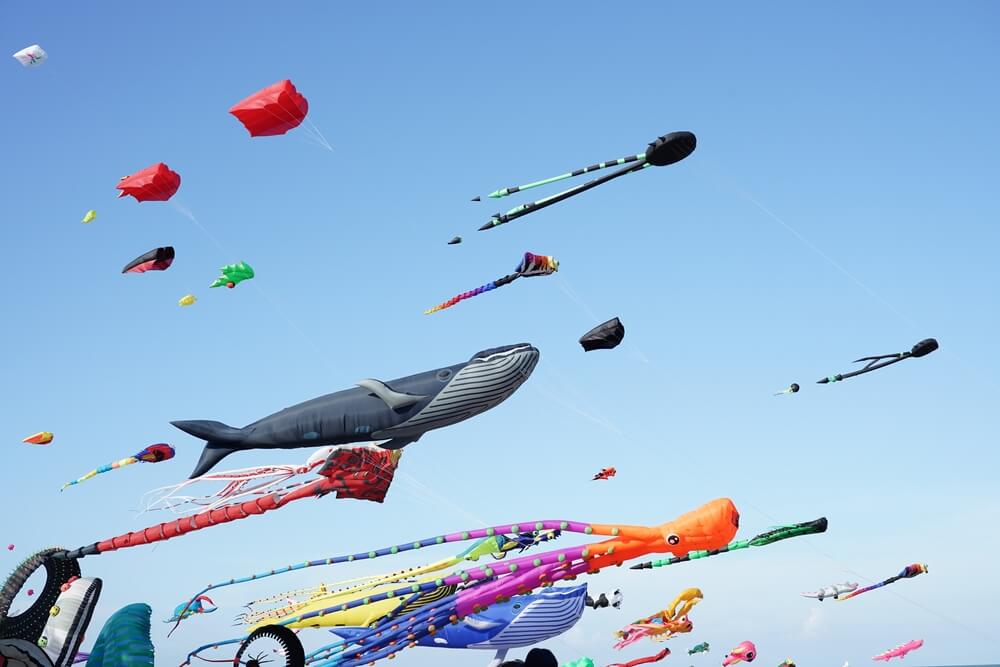 evenements la rochelle festival du cerf volant et du vent