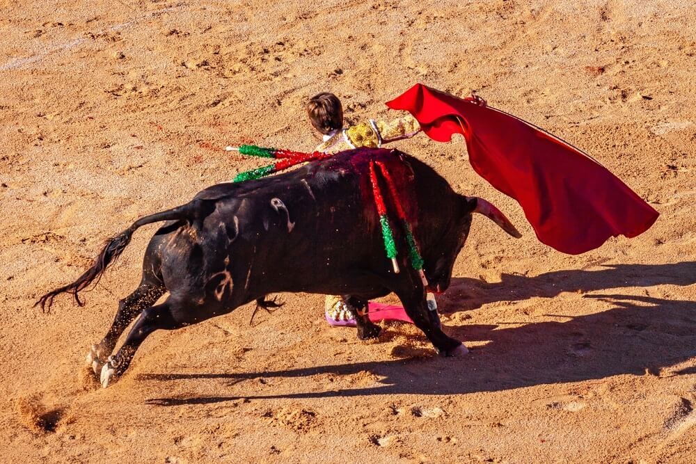 feria nimes