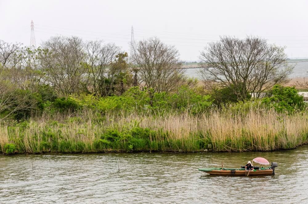 fleuve tone japon shutterstock