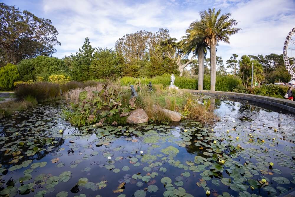 golden gate park