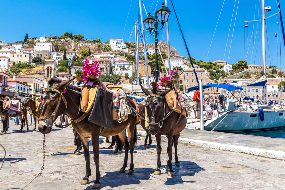 hydra iles saroniques