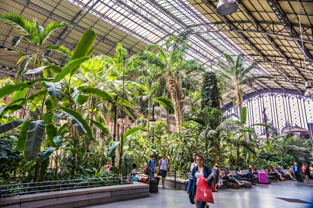 jardin Tropical de la gare dAtocha