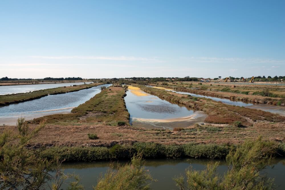 marais salants oleron