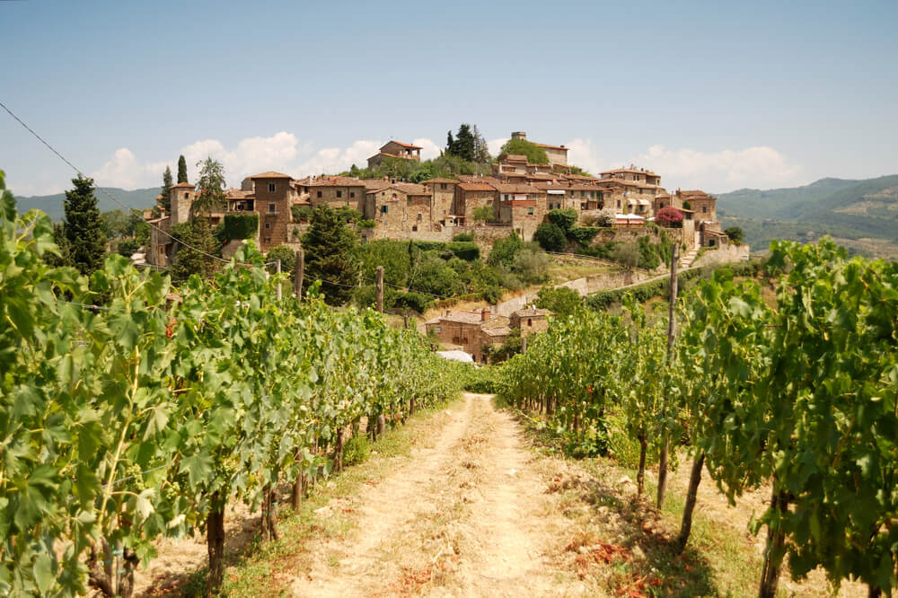 montefioralle vigne chianti