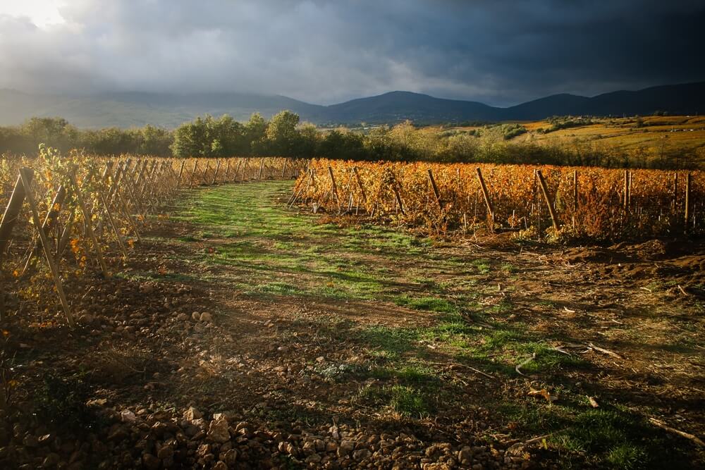 monts du lyonnais