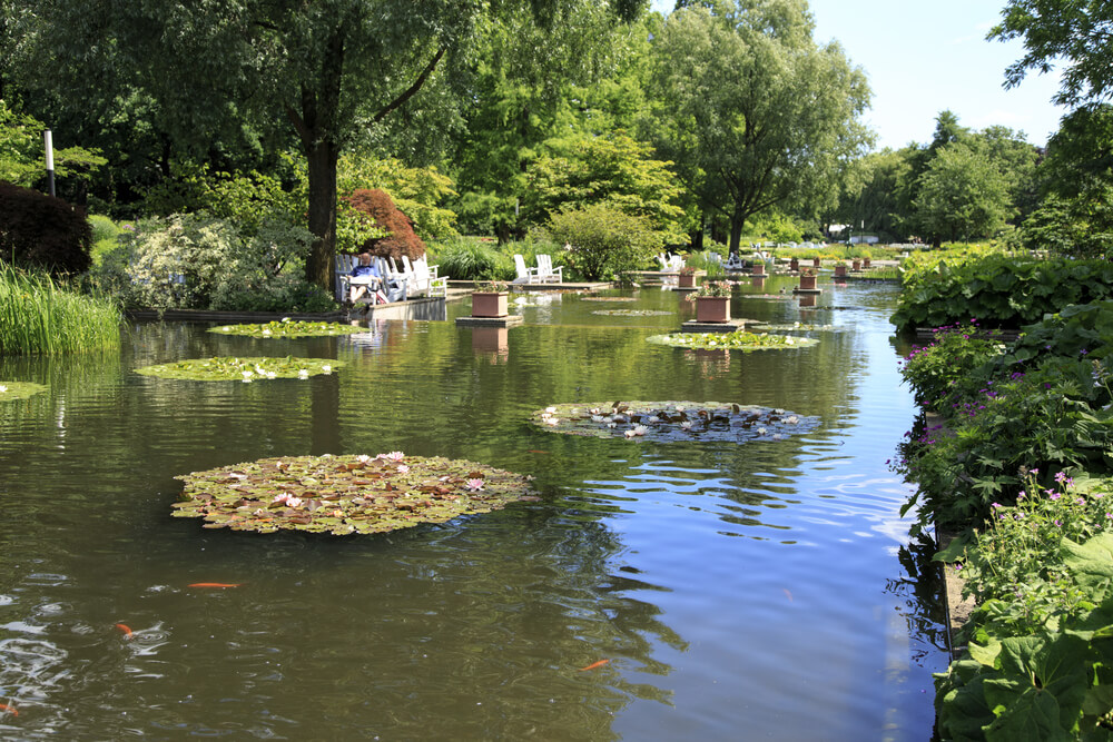 parc botanique