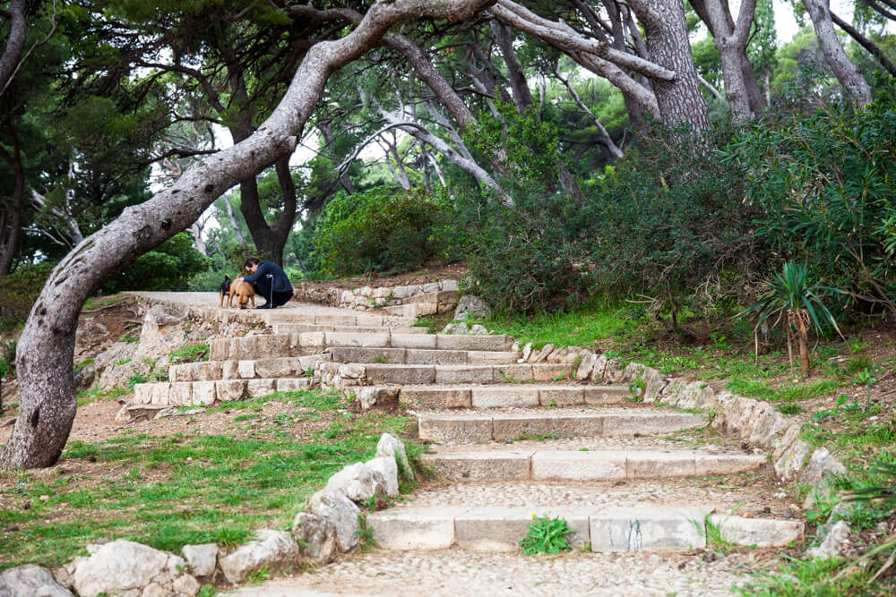 parc gradac