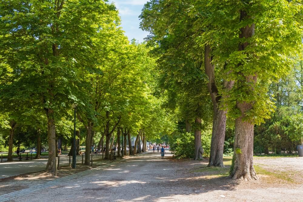 parc pepiniere