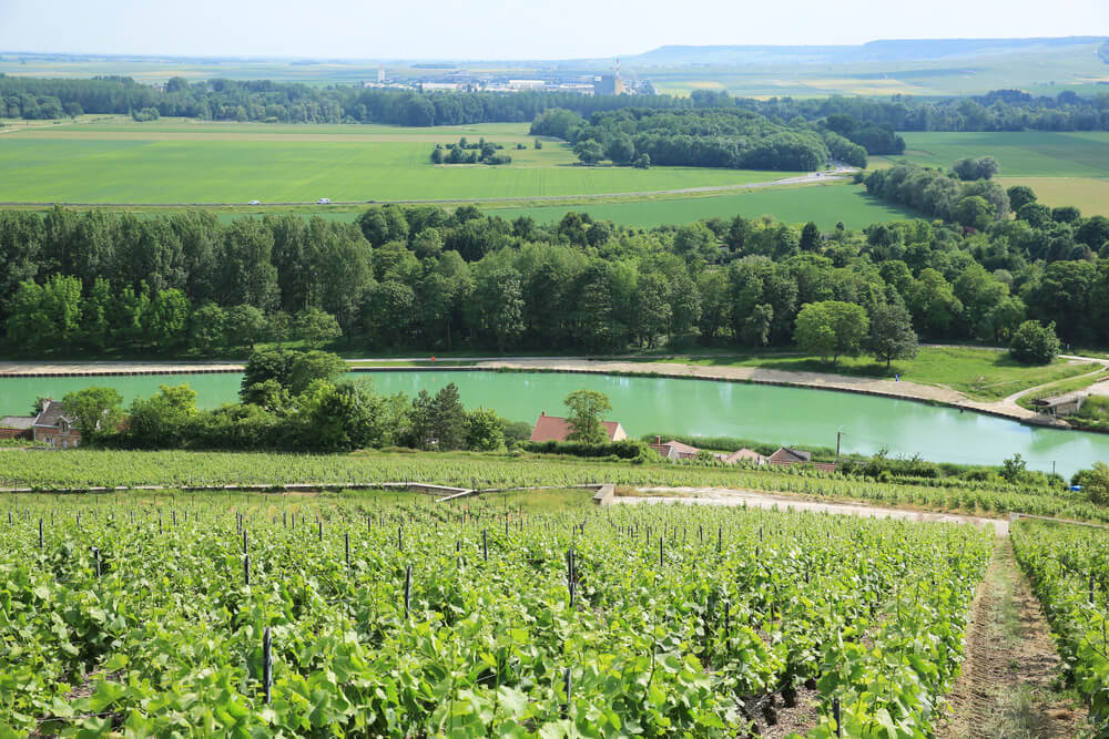 parc regional reims balade