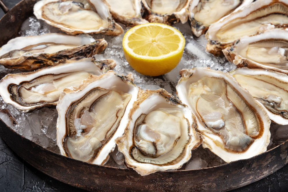 Oysters,Close up ,A,Dozen,Of,Raw,Oysters,On,A,Platter