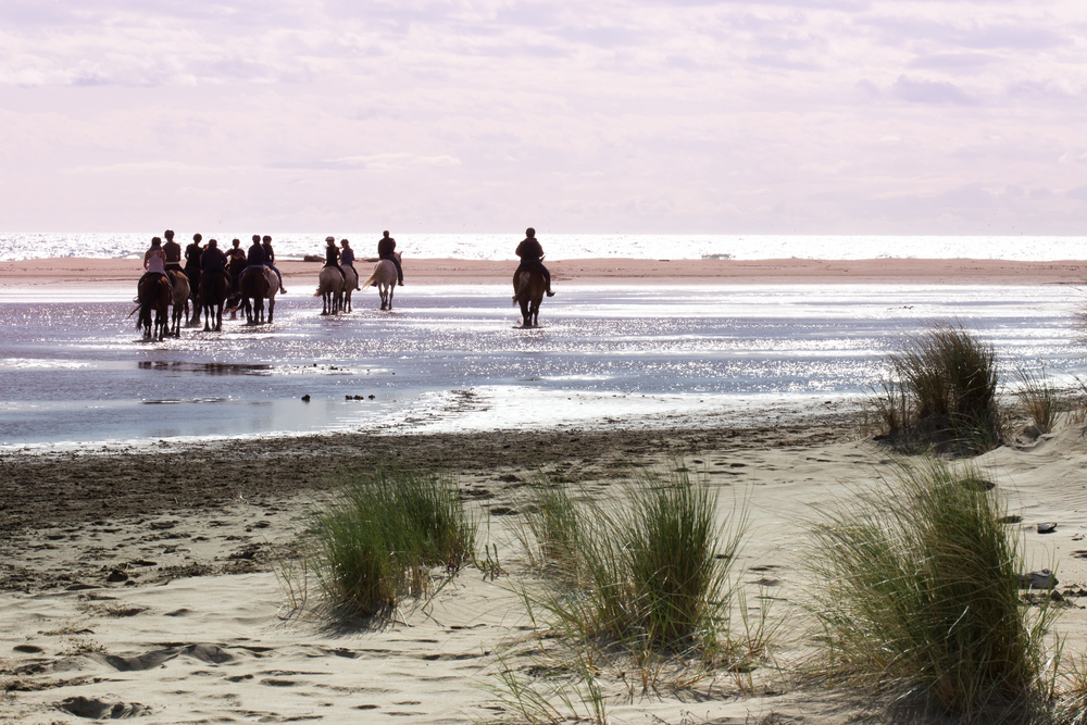 plage de espiguette