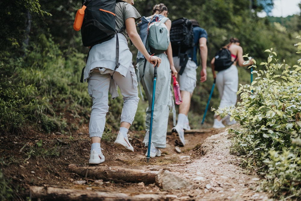 Group,Of,Friends,Hiking,On,A,Forest,Trail,,Enjoying,Outdoor