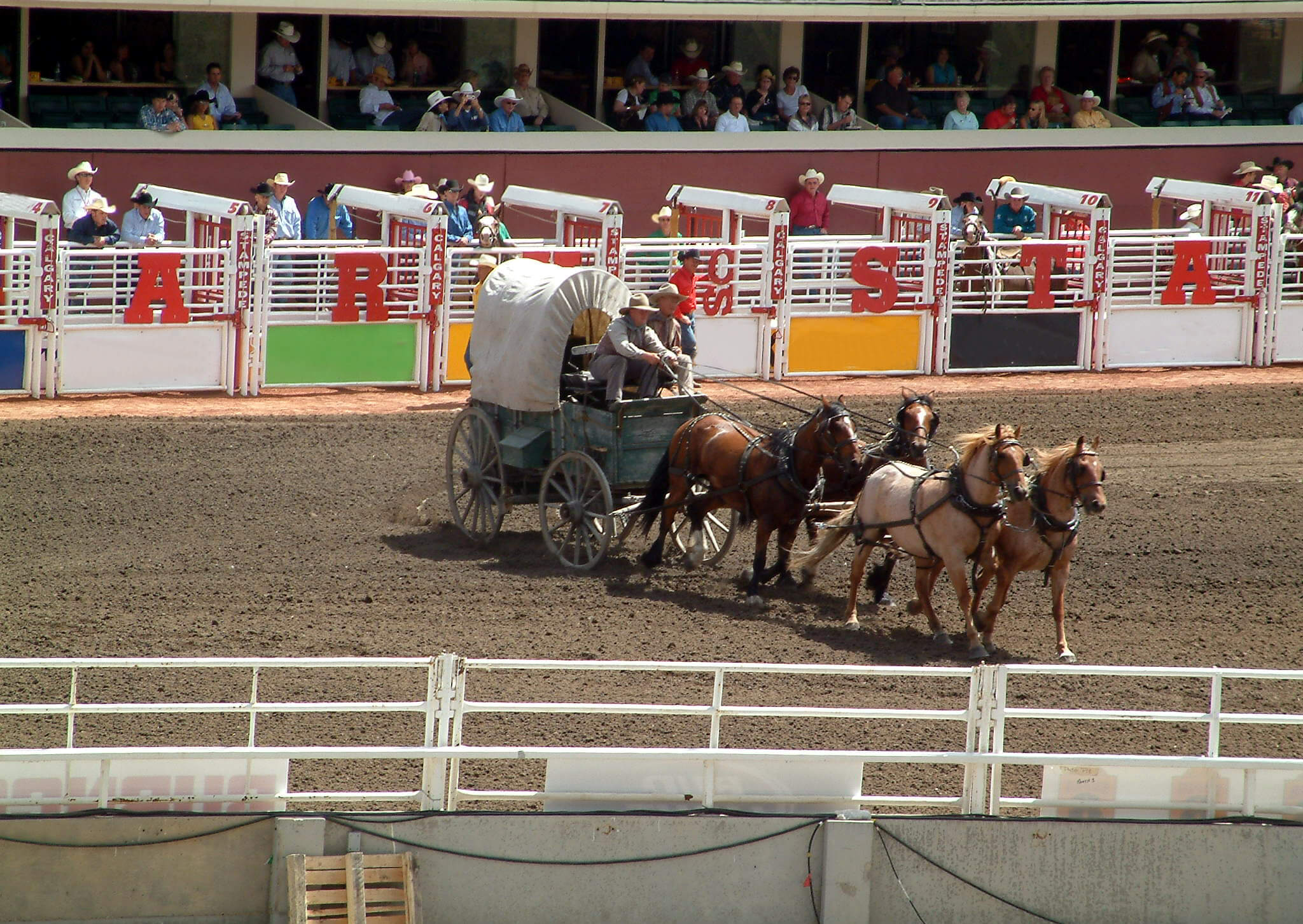 chuckwagons derby