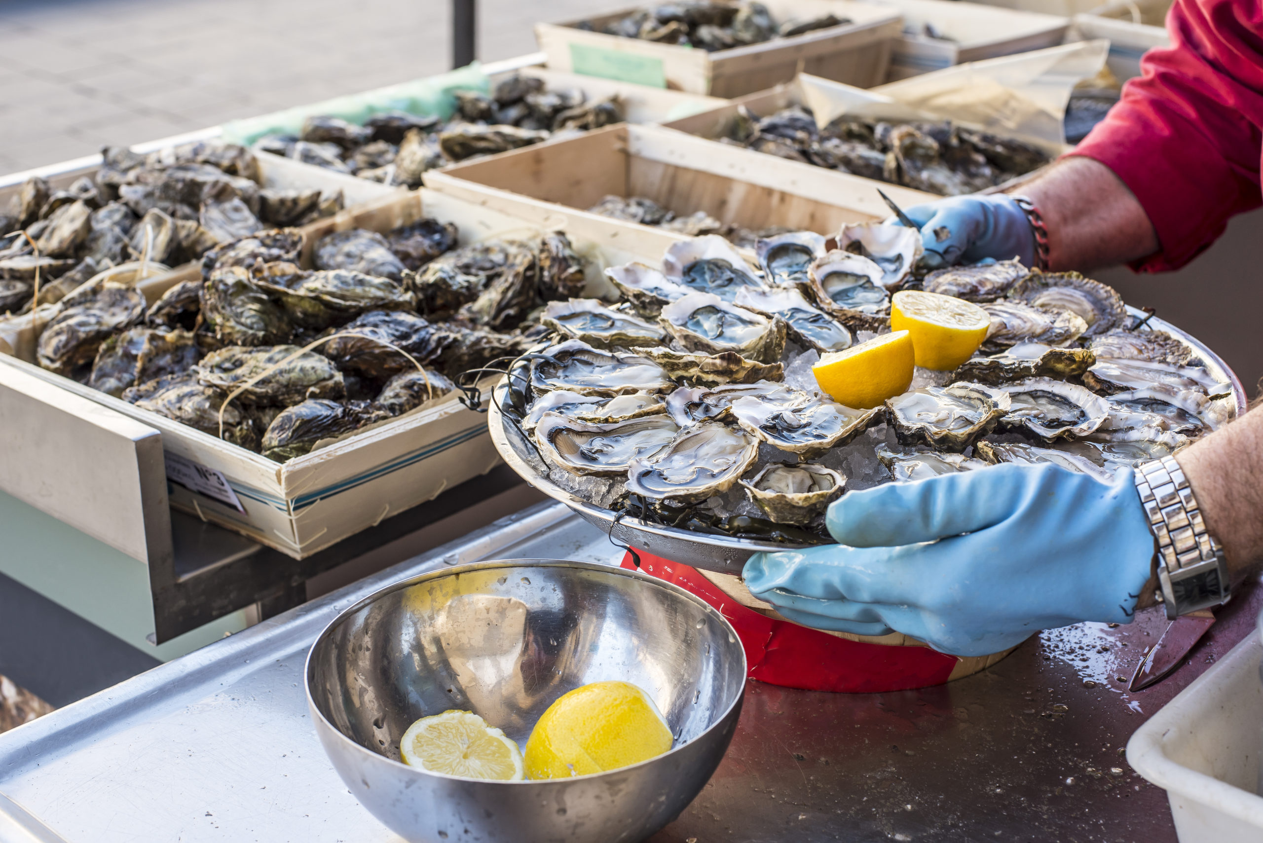 specialites Amiens Huitres Amiens Huitres Baie de Somme