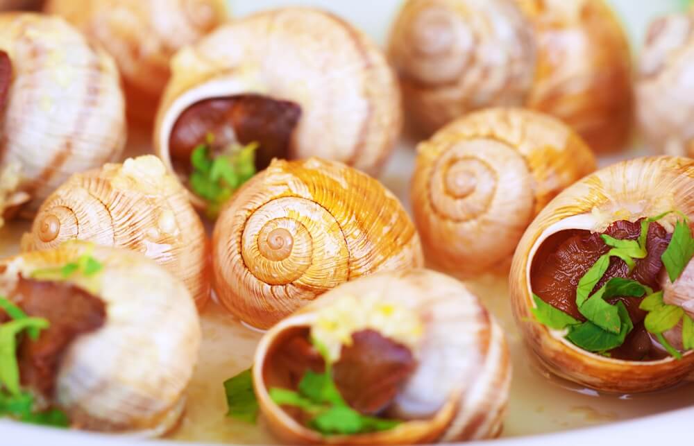 spécialités Carcassonne Escargots à la Languedocienne