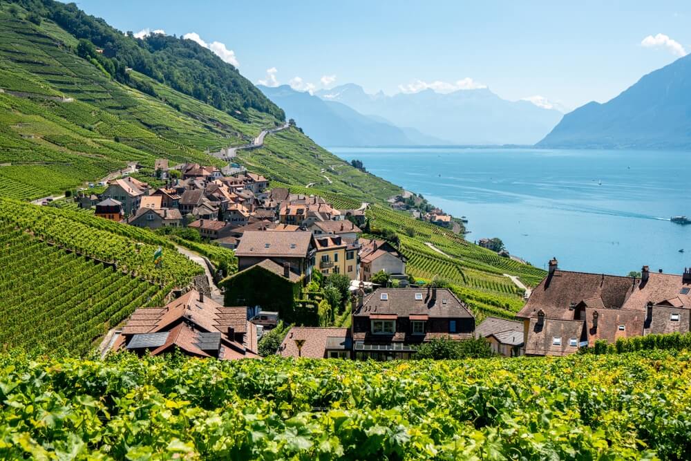 terrasses de lavaux