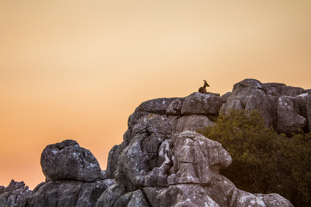 torcal