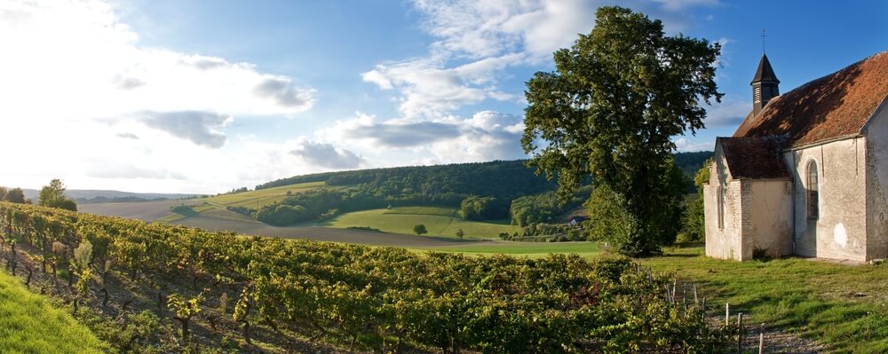 vignoble chablis