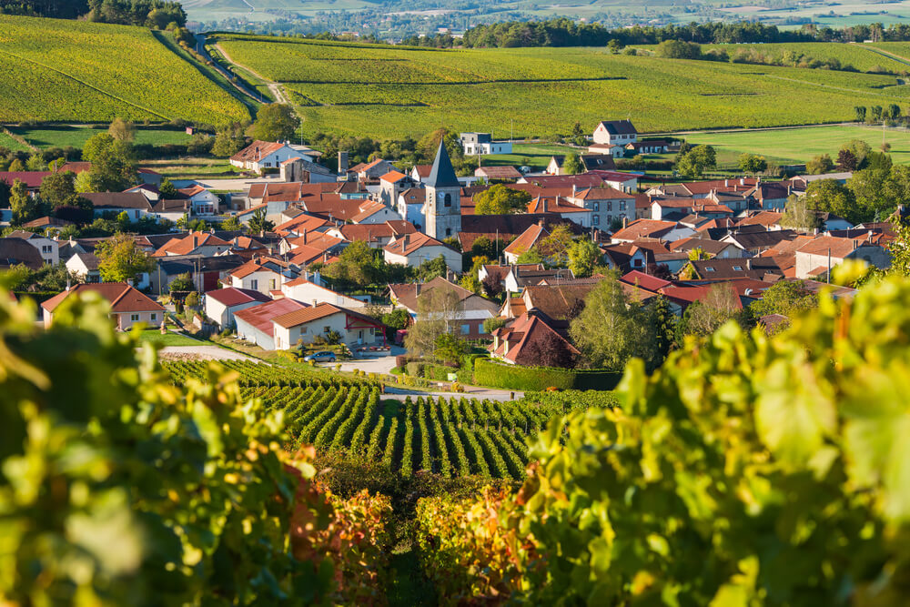 vignoble cote de bar aube baroville