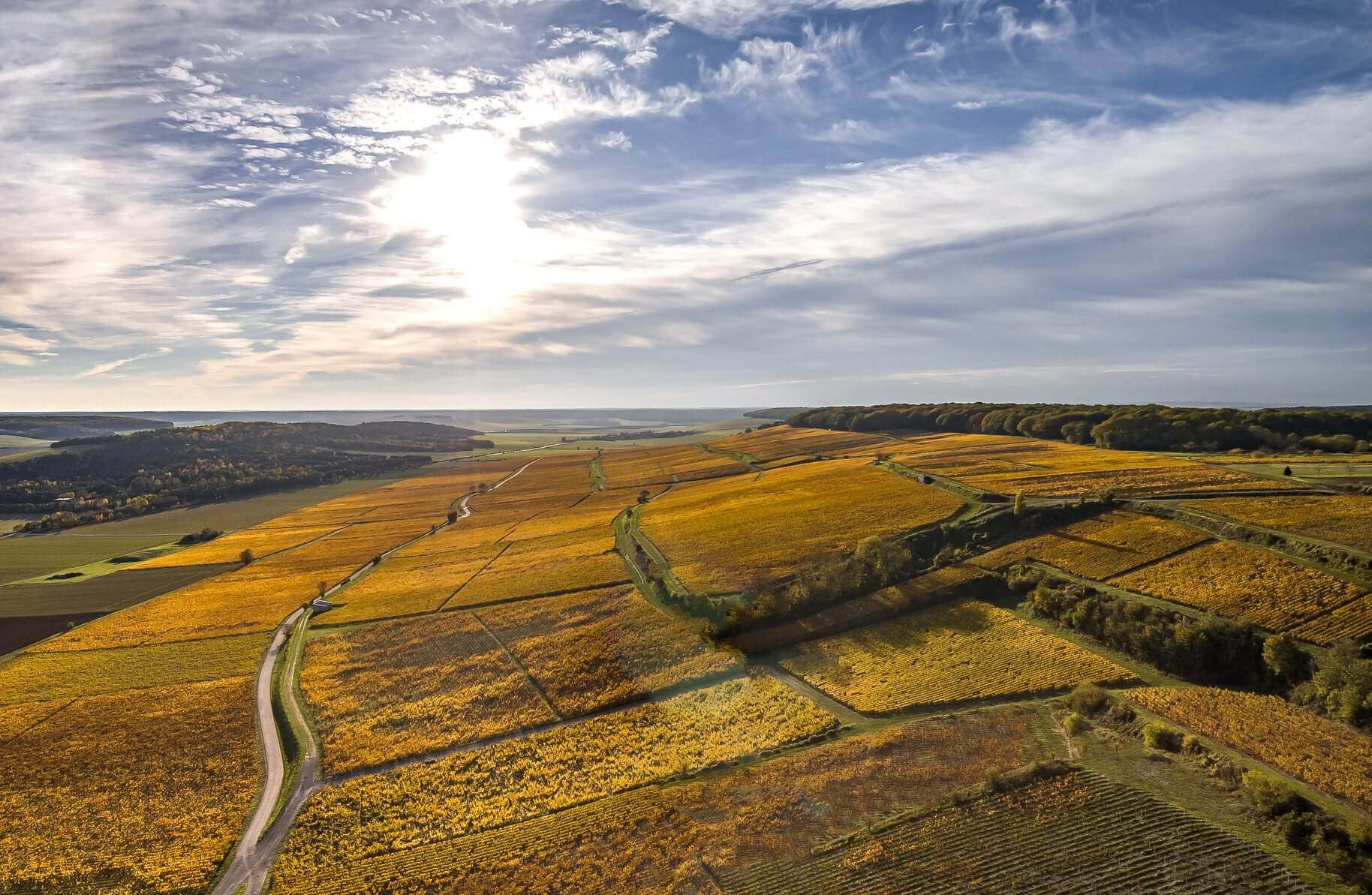 vignoble de montgueux champagne troyes