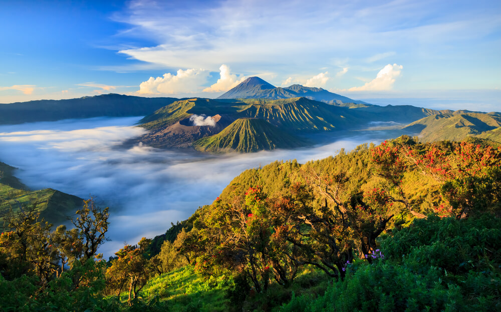 volcan bromo java indonesie