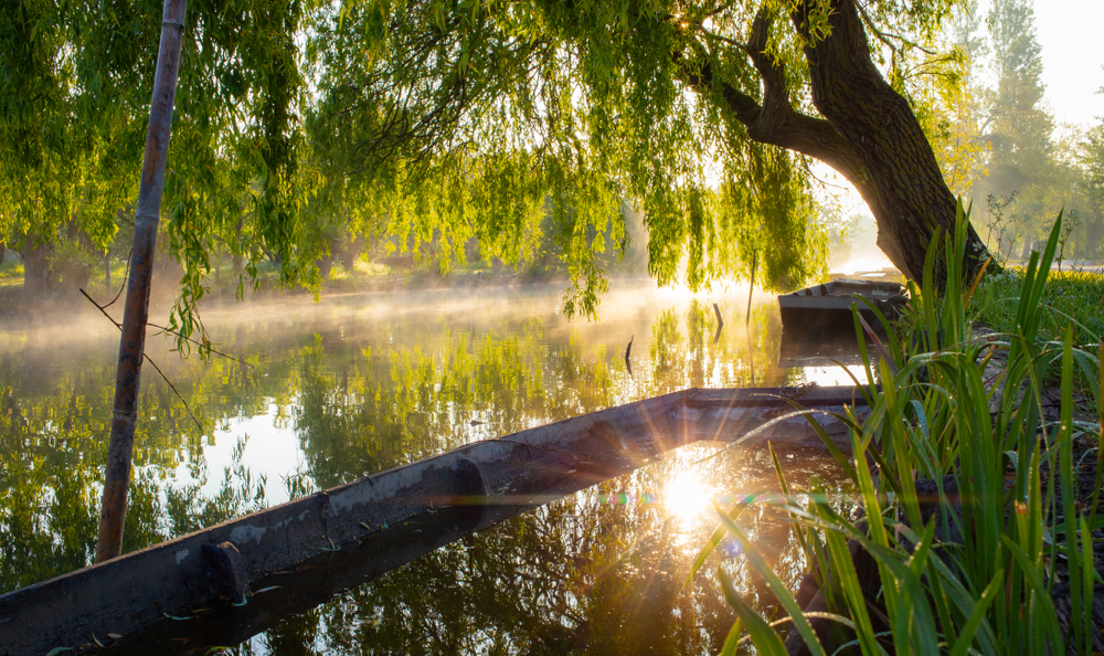 Marshes,In,Bourges,,Berry,Province,,Centre val,De,Loire,,France