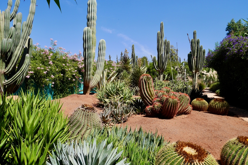 Anima,,Andre,Heller's,Imaginative,Botanical,Garden,In,Marrakech,,Morocco.,High